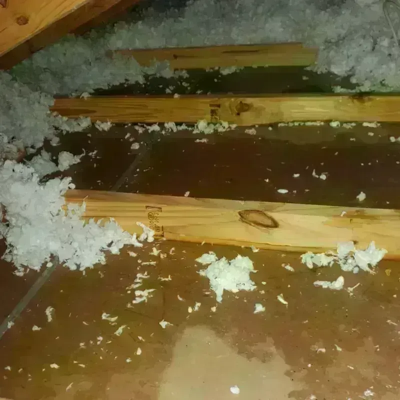 Attic Water Damage in Columbia County, FL