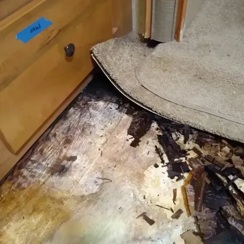 Wood Floor Water Damage in Columbia County, FL